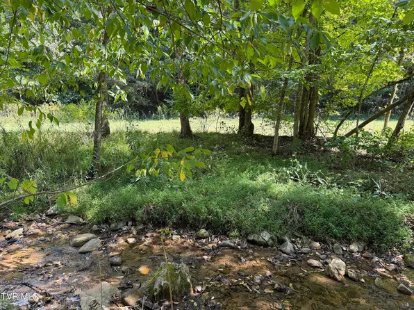 1 Greggs Branch Rd, Butler, TN 37640
