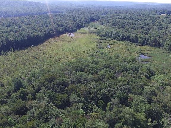 Heiden Road, Fallsburg, NY 12733 | MLS #H6212378 | Zillow