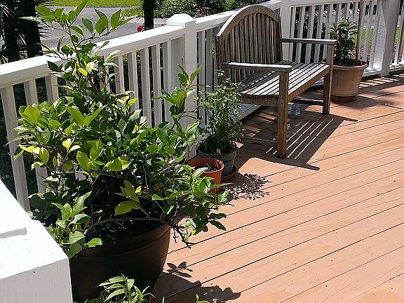 Backyard Deck off Kitchen