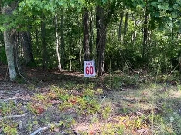 60 Honeysuckle Way, Ellijay, GA 30540
