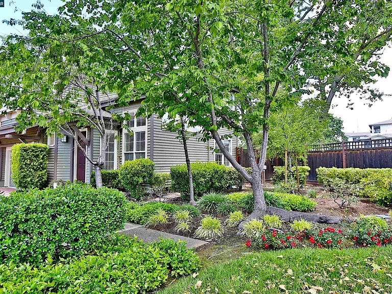 1079 River Rock Ln — Photo 27