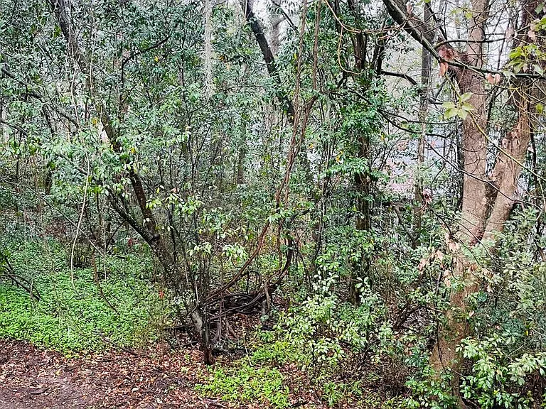 1232 Alachua Ave #B — Photo 16
