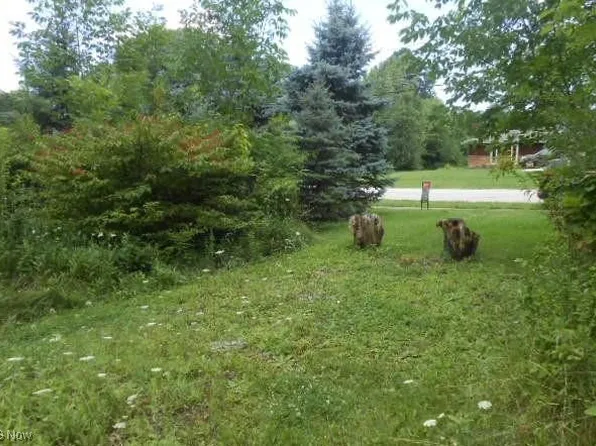 Shurmer Rd, Strongsville, OH 44136