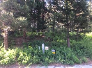 38 Panther Meadow Dr, McCloud, CA 96057