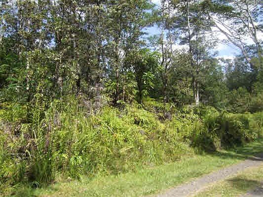 3rd image of Road 10 Poouli Lot 5762