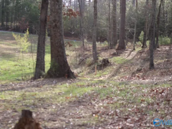 1805 County Road 103 Lot 43, Mentone, AL 35984