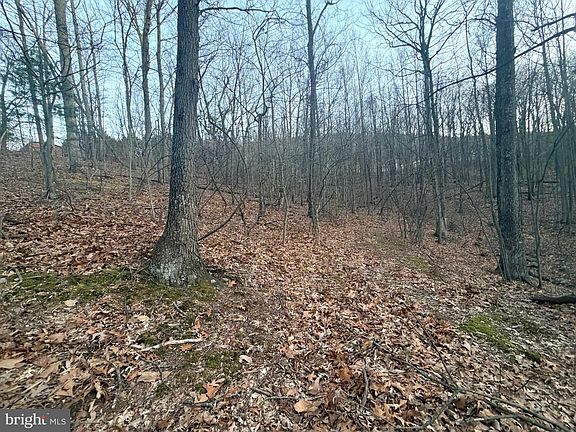 4th image of 262 Jamie Rd