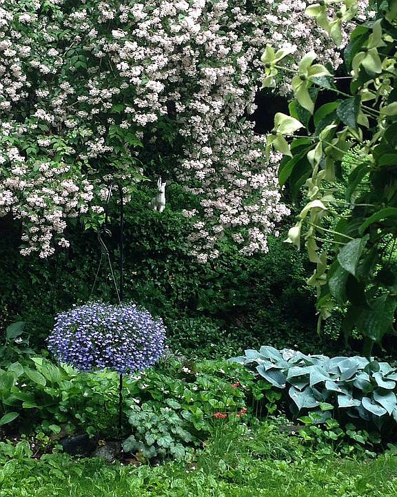 A little bit of the garden!