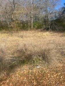 433 W 4th St, Hattiesburg, MS, 39401