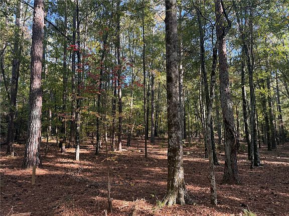 3rd image of TRACT E Four George Bryant Rd