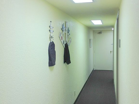 Main Hallway and Back Door Exit