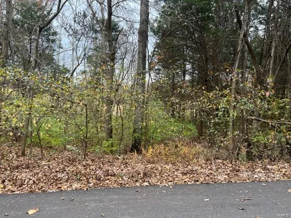 9634 Greenview Ct, Hillsboro, MO 63050