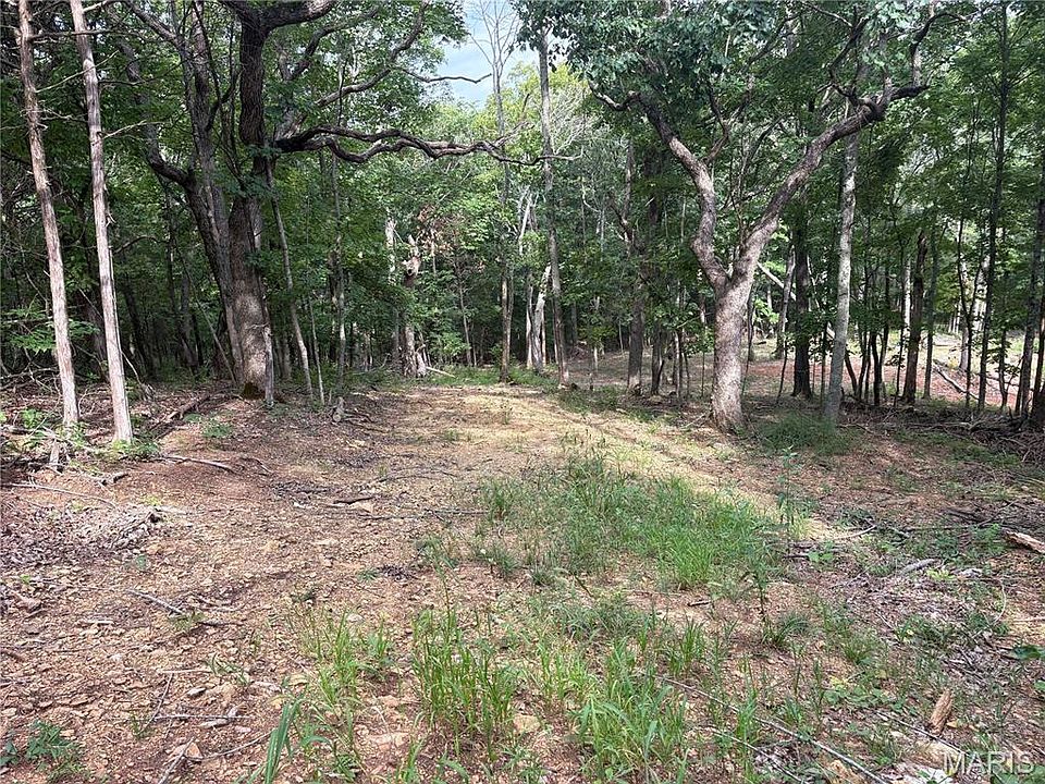 1st image of 1616 Timber Bluff Trl