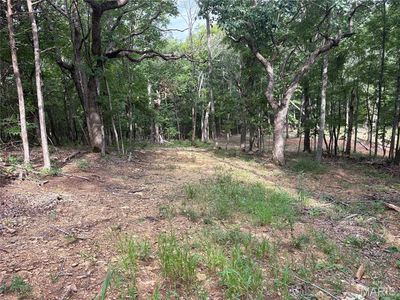 1616 Timber Bluff Trl, Pacific, MO, 63069
