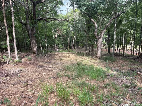 1616 Timber Bluff Trl, Pacific, MO 63069