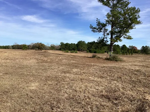 30375 Holmes Langford Rd, Opp, AL 36467