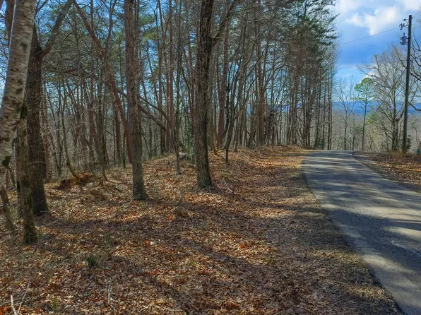 59 Timberwalk Est, Ellijay, GA 30540