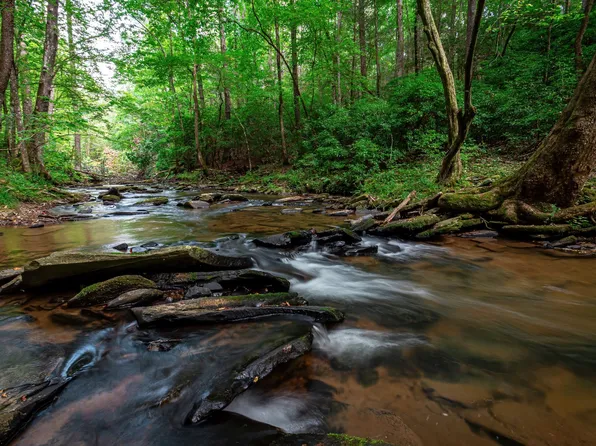 127R Quail Run Dr, Talking Rock, GA 30175