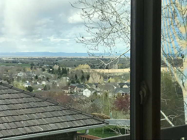 view from kitchen window