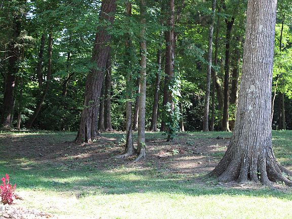 4th image of 522 Briar Creek Dr