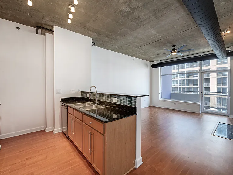1305 S Michigan Ave #1407 — Photo 8