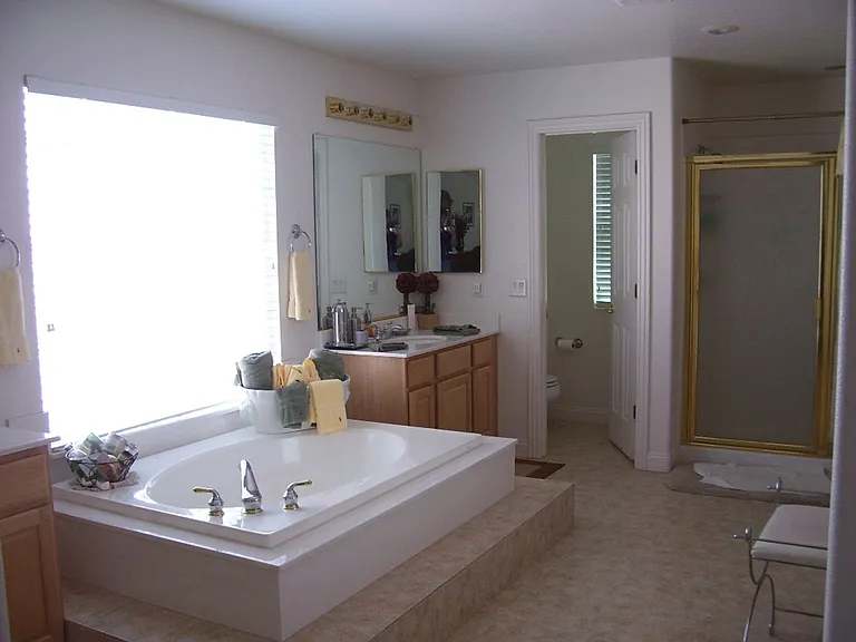 3316 Lacebark Pine St — Photo 20