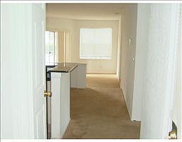 3rd image of 1705 Palm Cove Blvd APT 208