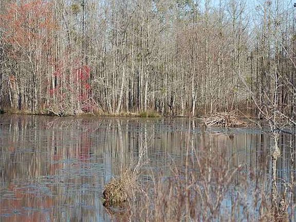 5th image of 2873 Highway 143