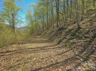 1200 Chestnut Flats Ln #138, Waynesville, NC 28786