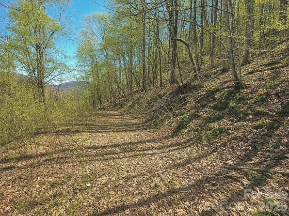 1200 Chestnut Flats Ln #138, Waynesville, NC 28786