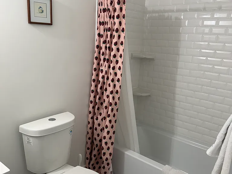 2510 Cascadilla St — Photo 45