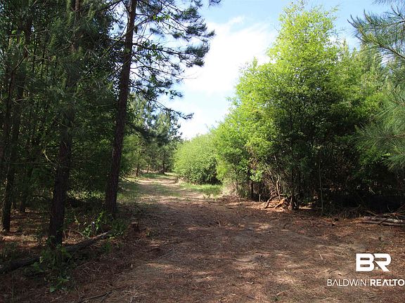 3rd image of 28800 Cheryl Ln