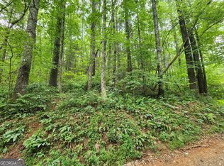 TRACT 2A Poplar Cove Rd, Suches, GA 30572