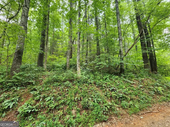 TRACT 2A Poplar Cove Rd, Suches, GA 30572