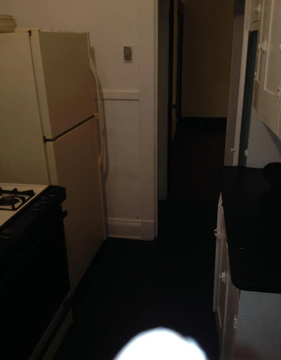 1 bed, 650 sqft, $600 — Photo 3
