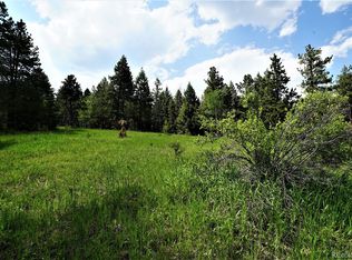 Mountain Property, Conifer, CO 80433