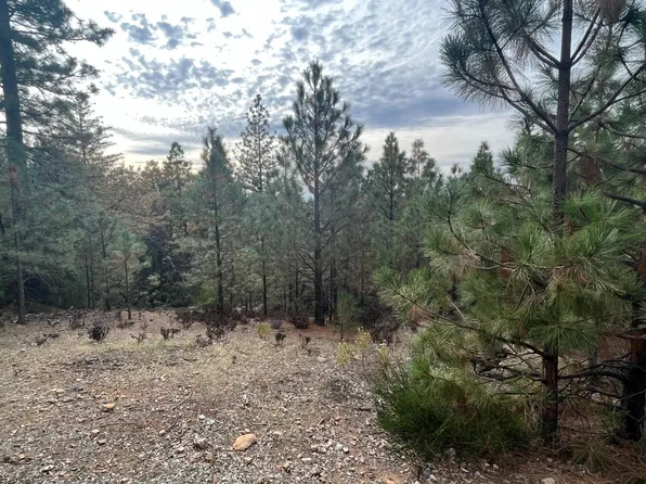 13851 Tank Ct, Pine Grove, CA 95665