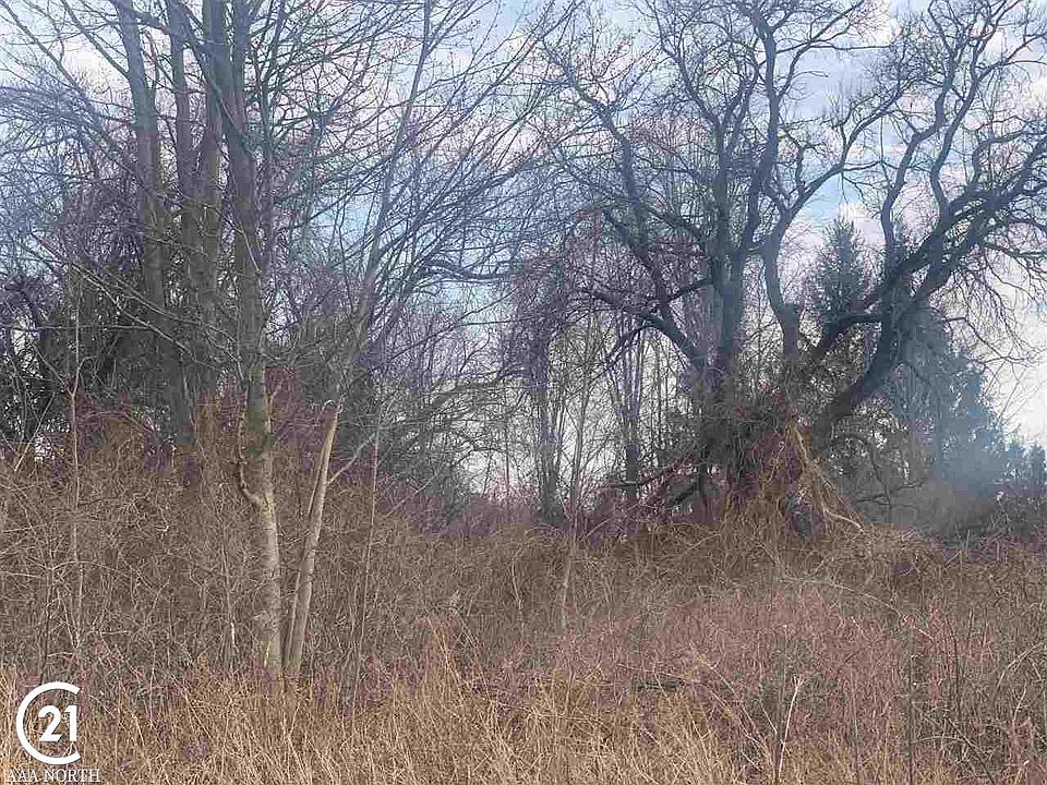 20950 Pratt Rd, Armada, MI 48005 MLS 50069307 Zillow