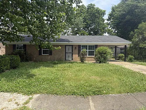905 Maple Dr Photo 1