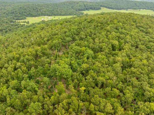 0 County Road 448, Redford, MO 63665