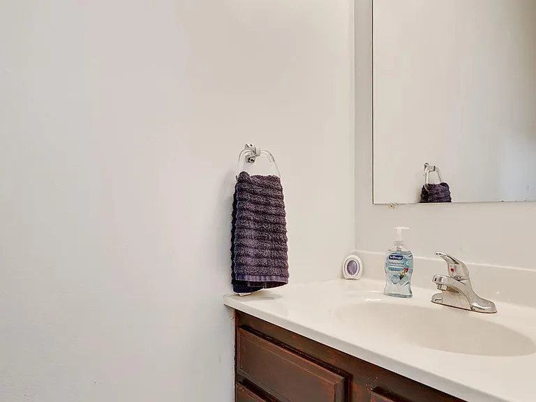 6060 Hollow Knoll Ct — Photo 30