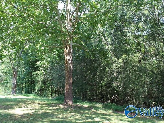 5th image of 302 County Road 1836