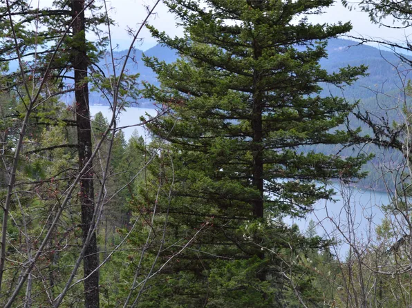Nhn E Lakeshore Drive Parcel 1 And #2, Whitefish, MT 59937