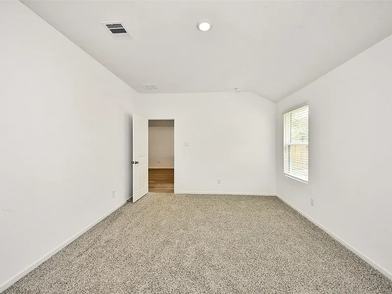 27458 Serene Pine Dr — Photo 11