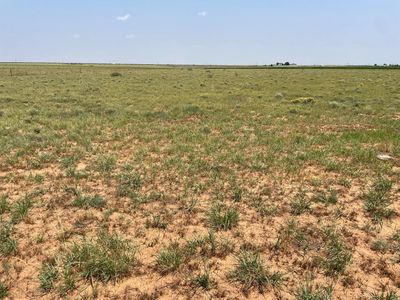 9619 County Road 7500, Ropesville, TX, 79358