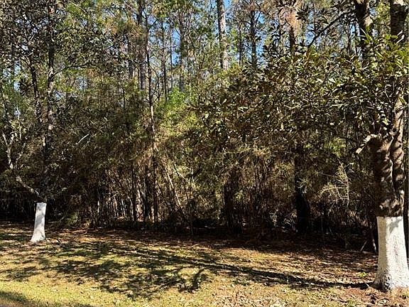 4th image of 13261 Theresa Nave Rd