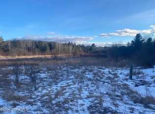 689 Beaver Dam Rd, East Berne, NY 12059