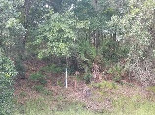 Blackberry Ave, Orlando, FL 32825