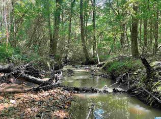 0 County Road 689 #1, Ranburne, AL 36273