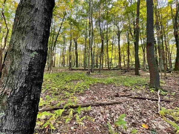 Lots 40 And 41 E Alpine Dr, Terra Alta, WV 26764